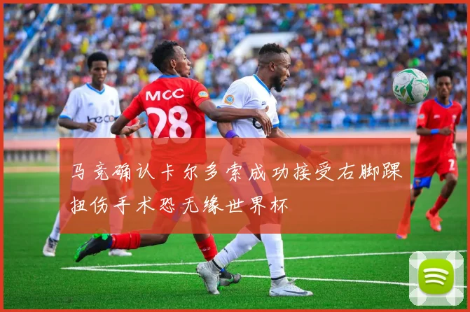 马竞确认卡尔多索成功接受右脚踝扭伤手术恐无缘世界杯